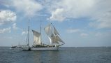 DSC02943.jpg
