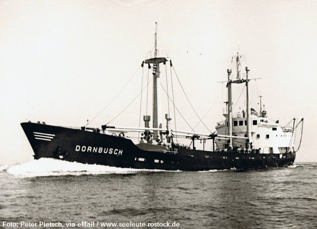 slr-ms-dornbusch-pp.jpg