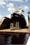 Klick mich! slr-ms-dornbusch-im-dock.jpg