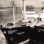 Klick mich! slr-ms-wolgast-bugans.jpg