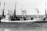 slr-framo-kormoran-dsr.jpg