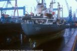 Klick mich! slr-frm-pinguin-fgl-inwerft.jpg