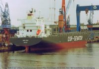 slr-npi03-ms-dsr-asia.jpg