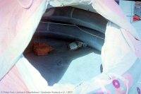 Klick mich! slr-bl21pf-1913.jpg