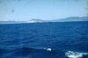 115.Gibralta.jpg