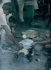 188.Ind.Cooking.jpg