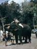 143.Ceylon.jpg
