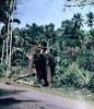 145.Ceylon.jpg