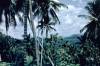 147.Ceylon.jpg