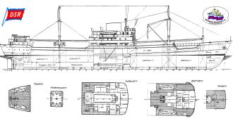 slr-sd21-2b07-sperber-dsr1965.jpg