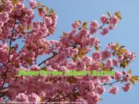 slr-2011-Ostern-aba05067.jpg