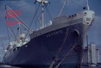 slr-2012-xmas-divo-pic.jpg